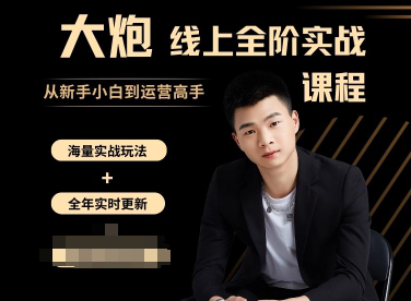 大炮电商-拼多多全阶实战课程2025年12月20日更新